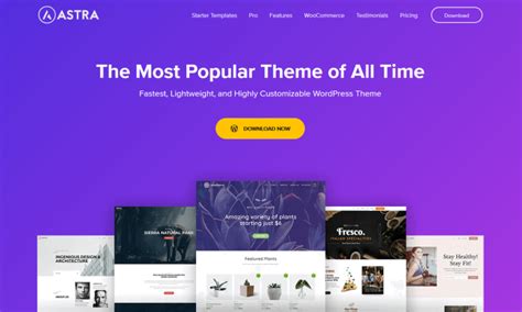 The Best WordPress Themes You Should Consider Using in 2024