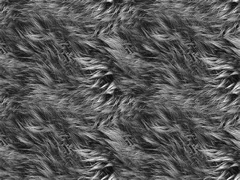 Grey Fur Texture Free (Fabric) | Textures for Photoshop