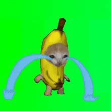 Banana Crying Cat Sticker - Banana crying cat - Discover & Share GIFs