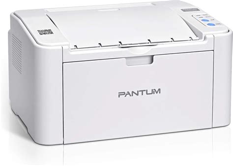 Buy Pantum P2502W Wireless Small Laser Printer Monochrome (Black and White) Wi-Fi Mobile ...