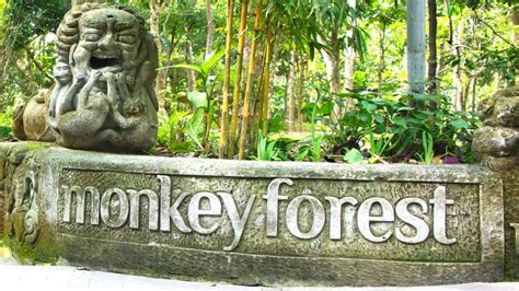 Visiting Monkey Forest - Ubud, Bali | Guide and review - divetip.com