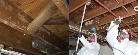 Basement Mold Removal in NJ – Professional, Guaranteed.