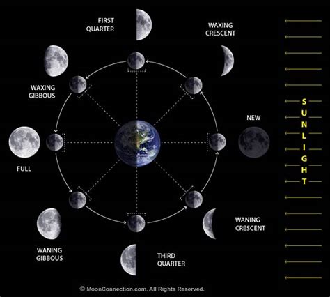 Moon phase - AltheaKurtis