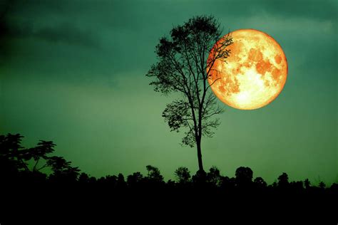 Skywatchers: Harvest full moon, the last supermoon for 2023