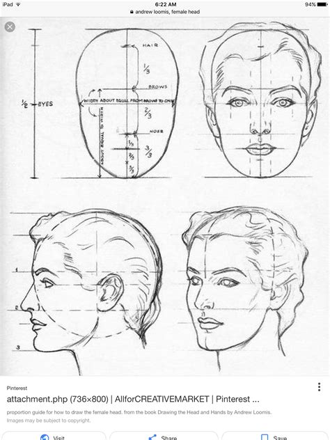 How To Draw Female Faces In Correct Proportions With Easy Drawing | Images and Photos finder