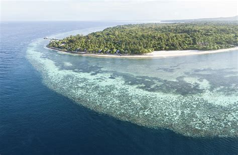 Aerial View Of A Beautiful Coral Reef Photograph by Ethan Daniels | Pixels