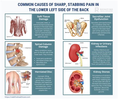 Sharp Stabbing Pain in the Lower Left Side of the Back - NJ's Top Orthopedic Spine & Pain ...