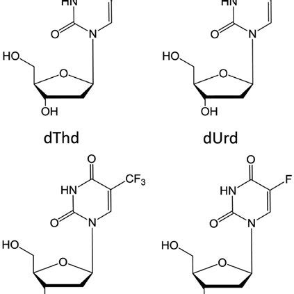 Structures of natural and analog pyrimidine nucleosides. | Download Scientific Diagram