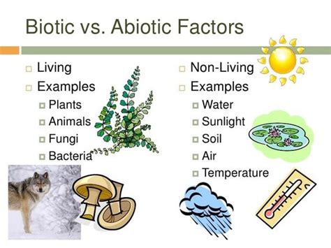 taiga,biotic , abiotic factors,spheres - KAT AND KENDYL