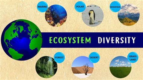 8 Astonishing Facts About Ecosystem Diversity - Facts.net