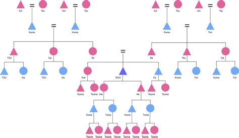 Kinship Chart Example Kinship Diagram Example