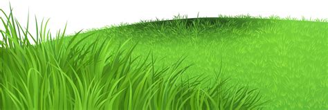 Free Transparent Grass Clipart, Download Free Transparent Grass Clipart png images, Free ...