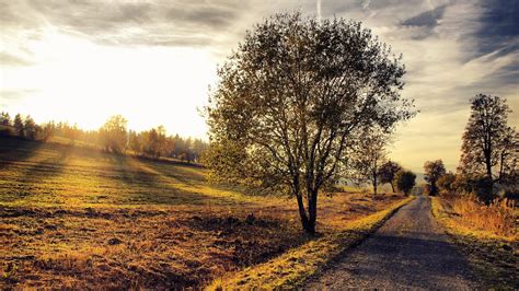 Old Country Road Wallpaper - WallpaperSafari