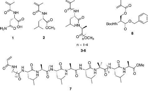 Amino acid and peptide based monomers used for free radical... | Download Scientific Diagram