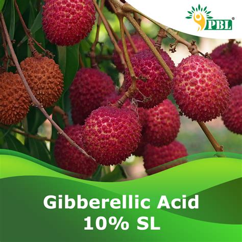 Gibberellic Acid 10% SL | Plant Growth Regulator Manufacturer - Peptech