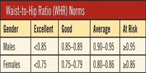 Waist Hip Ratio - how to accurately measure your waist to hip ratio