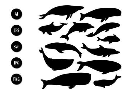 Whale Silhouette Vector Illustration Graphic by sabavector · Creative Fabrica