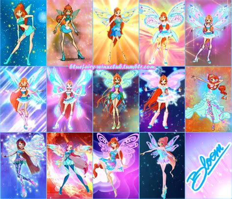 Blue Fairy / Winx Club | Bloom in all her transformations, including ...