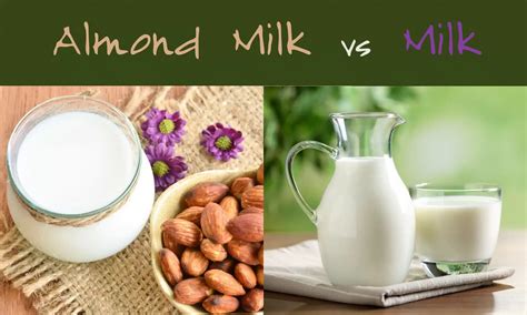 Almond Milk vs Milk: The Ultimate Verdict - The Coconut Mama