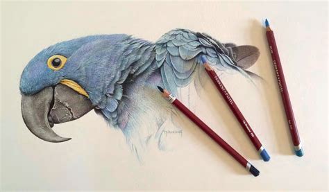 A pastel pencil affair | Pastel pencils, Color pencil drawing, Soft ...