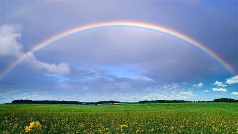 Green Grass Field With Flowers Under Rainbow And Blue Sky With Clouds HD Nature Wallpapers | HD ...