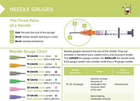 Needle Gauges For Injections Chart Size Royalty Free Vector, 56% OFF