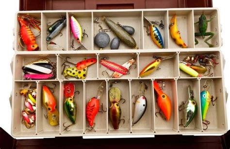 The Best Perch Lures: When to Use One Lure over the Other? | BadAngling