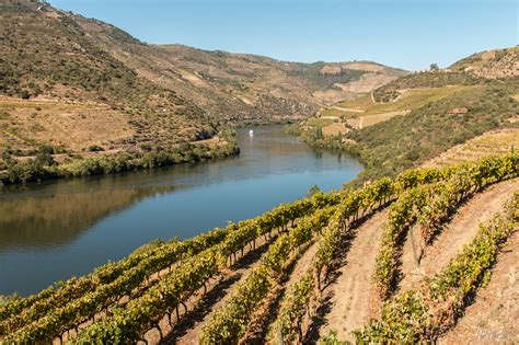 Rota das Vinhas do Douro - GreenTrekker.pt