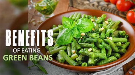 6 fast facts about why you should include green beans in your diet | Lifestyle Gallery News ...