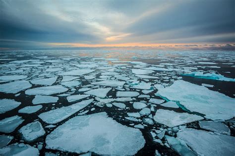 Arctic sea ice is melting faster than ever