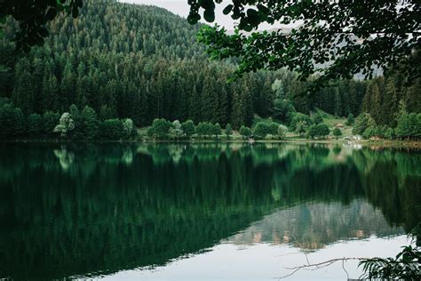 Reflection of a Forest on a Calm Lake · Free Stock Photo