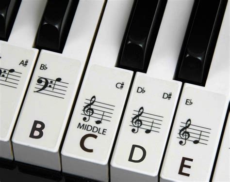 PIANO Stickers Keyboard for ALL SIZE Pianos the Best Way to - Etsy