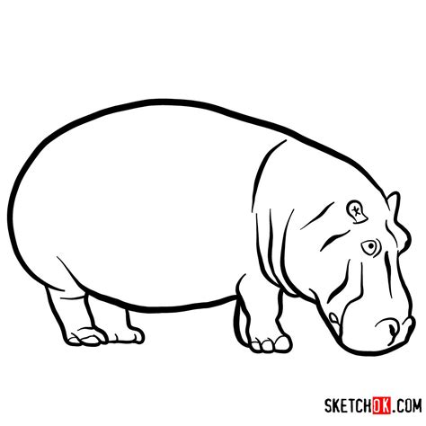 Hippo Line Drawing