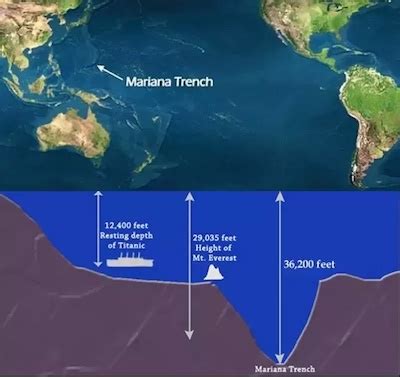 Deep Ocean Trench | Definition, Formation & Examples - Video & Lesson Transcript | Study.com