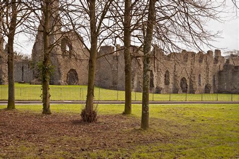 Gower Wildlife: Neath Abbey