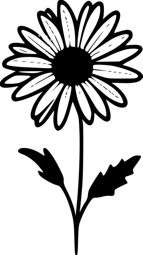 Daisy - Black and White Isolated Icon - Vector illustration 23544018 Vector Art at Vecteezy