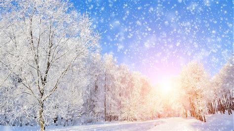 23 Winter Wonderland Wallpapers - Wallpaperboat