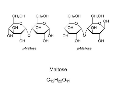 Maltose Structure Diagram