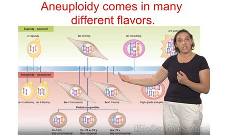 Review of the Study of Autosomal Aneuploidy • iBiology