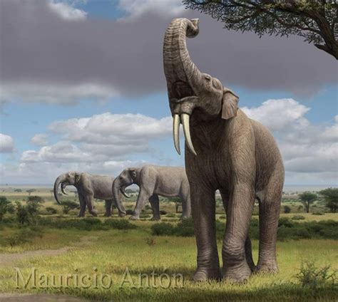 Deinotherium By Mauricio Anton #prehistoricart #prehistoricanimals # ...