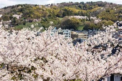 A Traveler’s Guide to Honshu (Japan’s largest Island) – YouGoJapan