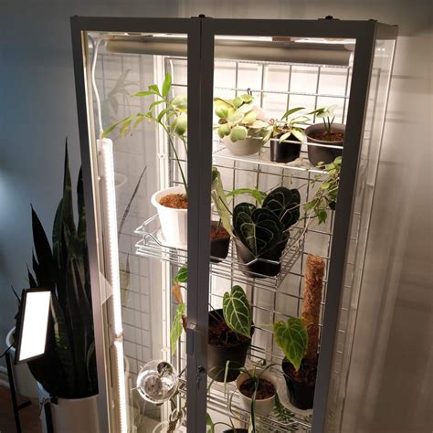 Ikea Greenhouse Cabinet Mods – House Plant Journal