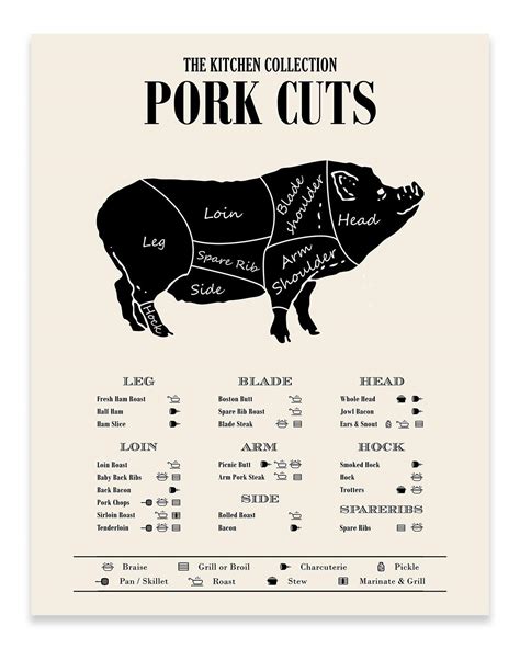 Buy TnT Prints TMO2 Pig Butcher Chart - Culinary s for Classroom, Pork ...