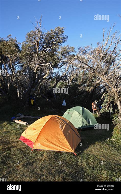 Camping in the Victorian Alps, Australia Stock Photo - Alamy