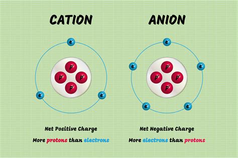 Cation And Anion