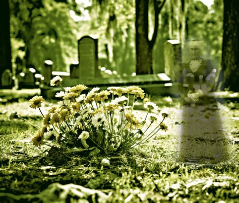 Graveyard Ghost Of A Person Free Stock Photo - Public Domain Pictures