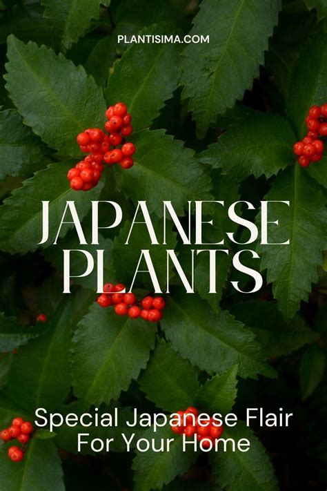 Japanese Plants for a Serene Home Garden