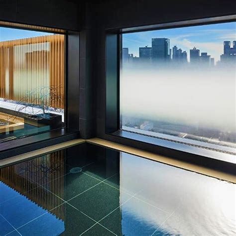 The 10 Best Tokyo Hotels With An Onsen (2025 Guide)