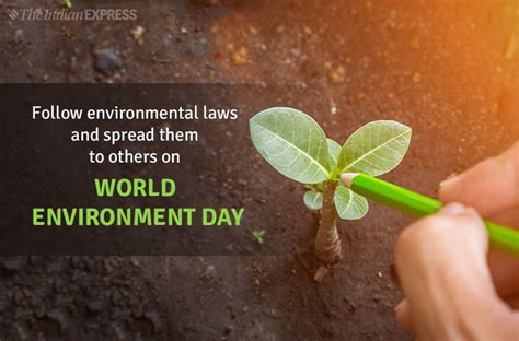 World Environment Day 2019: Theme, Slogans, Quotes, Images, Status ...