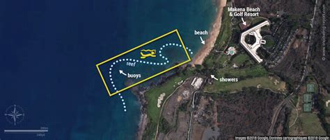 Snorkeling with sea turtles in Turtle Town, Maui | Snorkeling in Hawaii